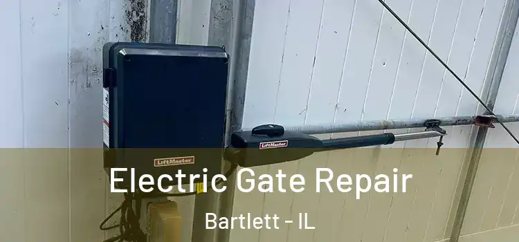 Electric Gate Repair Bartlett - IL