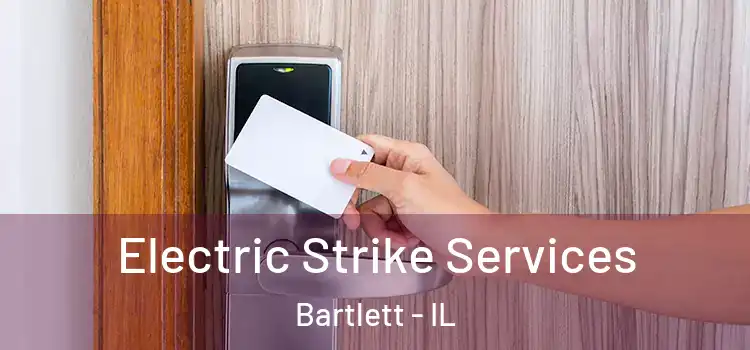 Electric Strike Services Bartlett - IL