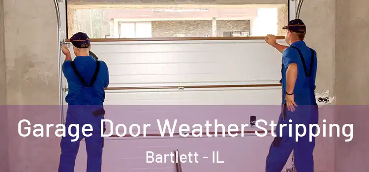  Garage Door Weather Stripping Bartlett - IL