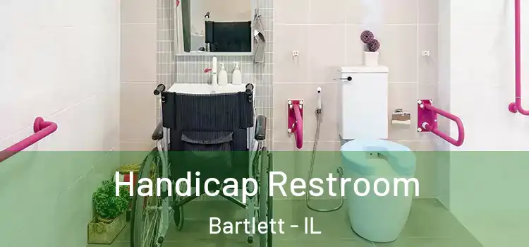 Handicap Restroom Bartlett - IL