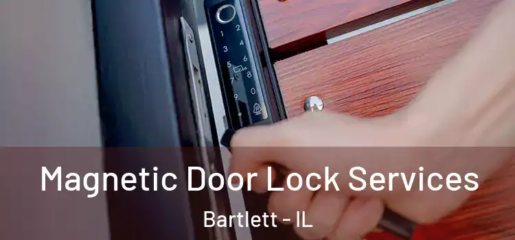 Magnetic Door Lock Services Bartlett - IL